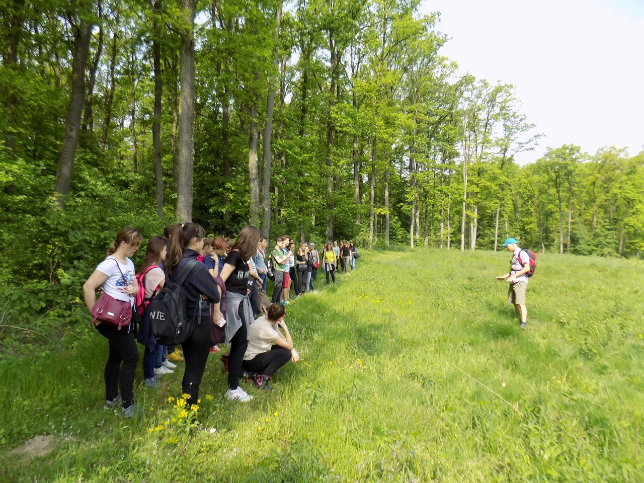 Vezetett túrák a Bakonyban