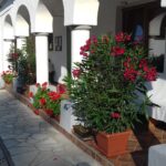 Virágözön a Szarvasház tornácán