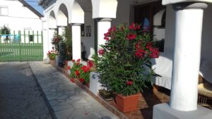 Virágözön a Szarvasház tornácán