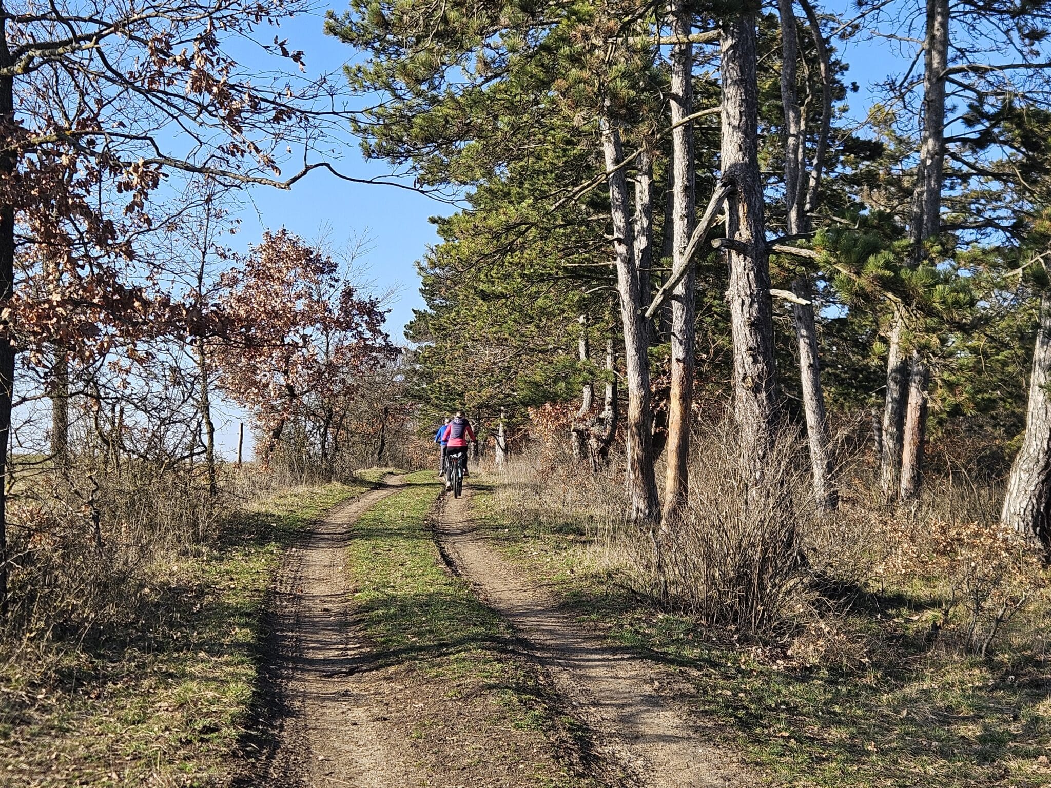 A noszlopi izraelita temető és az elpusztult Bese falu nyomában